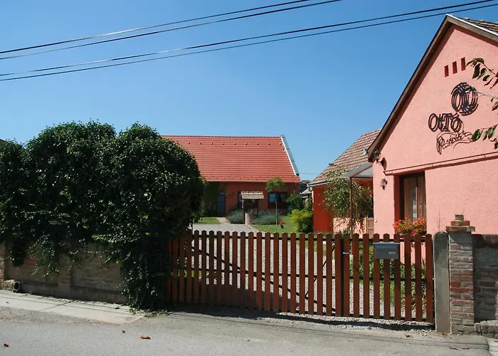 בית הארחה Otto Panzio 4*