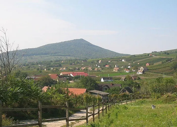 בית הארחה Otto Panzio