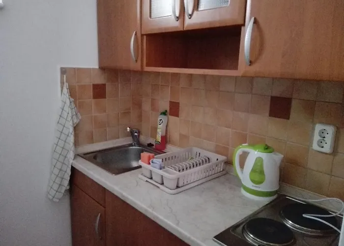 בית הארחה Otto Panzio