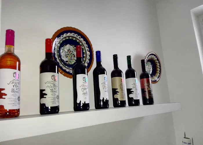 בית הארחה Otto Panzio