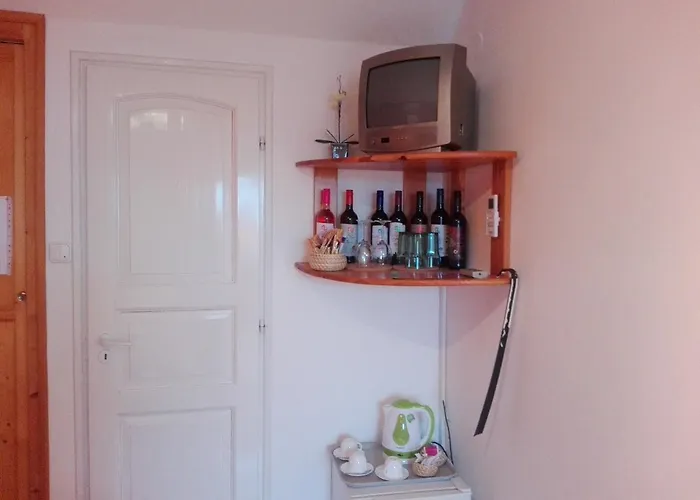 Otto Panzio בית הארחה